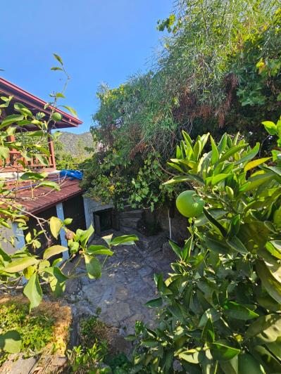 Image No.22-3 Bed Bungalow for sale