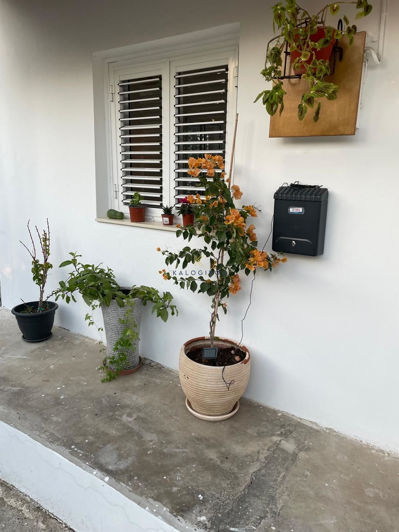 Image No.12-1 Bed Bungalow for sale