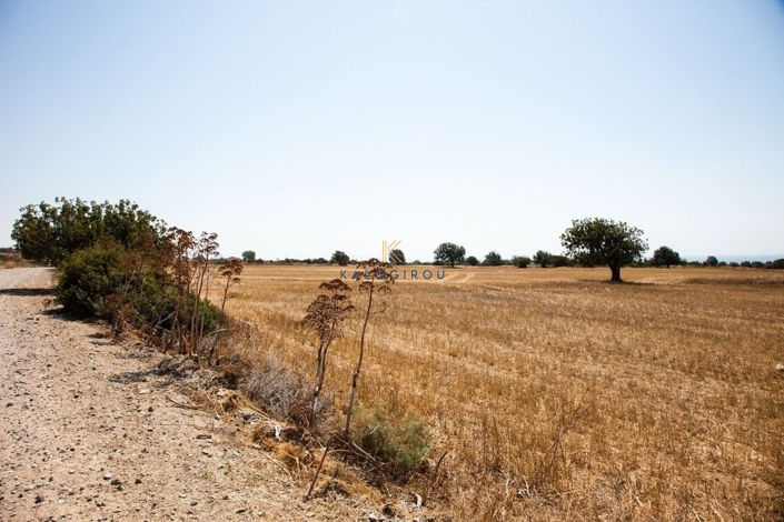 Image No.4-Land for sale