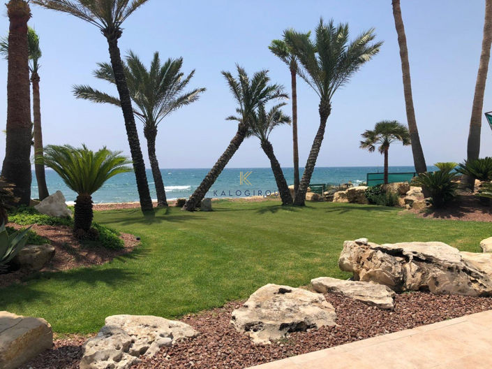 Image No.34-4 Bed House for sale