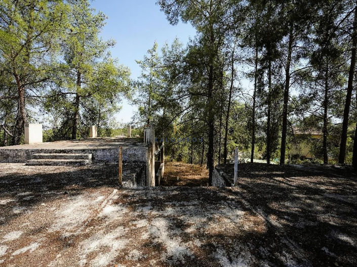 Image No.5-Commercial for sale