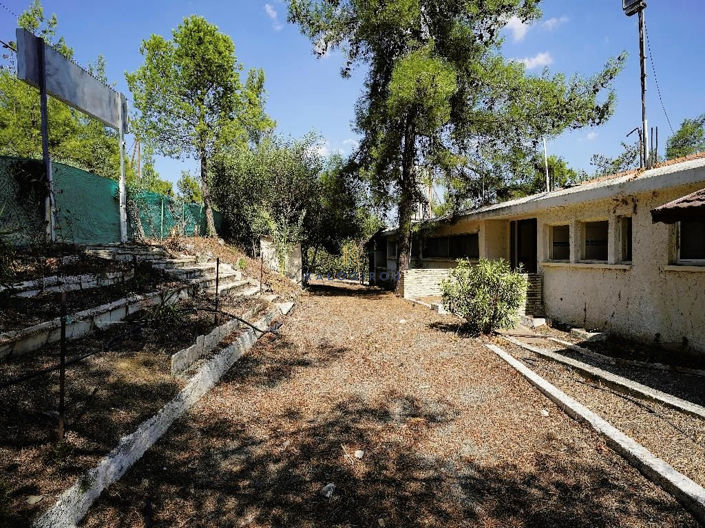 Image No.9-Commercial for sale