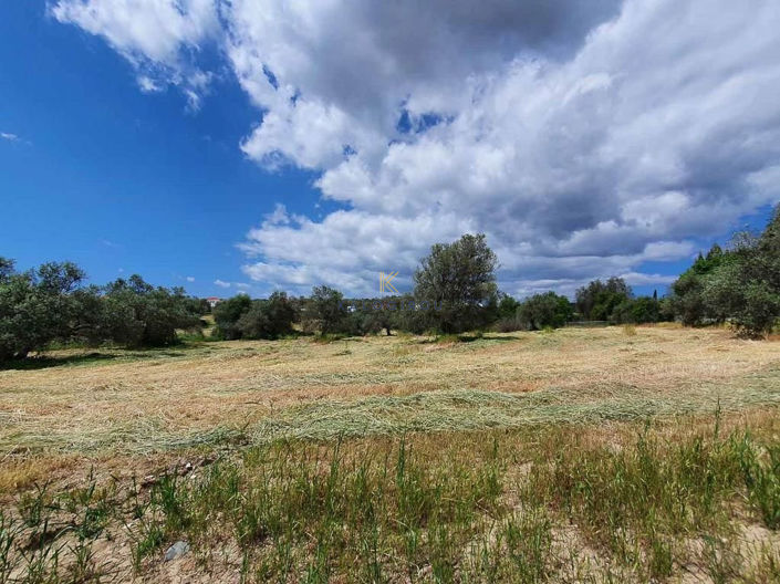 Image No.2-Land for sale