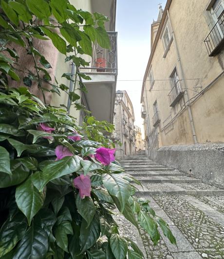 Image No.7-4 Bed Townhouse for sale