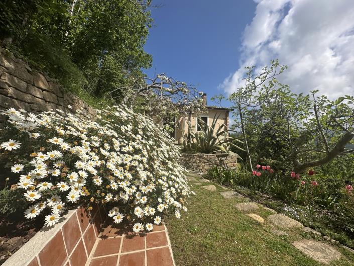 Image No.27-4 Bed Country House for sale