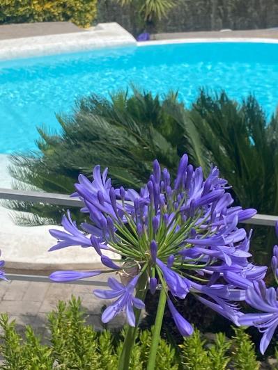 Image No.21-4 Bed Villa / Detached for sale