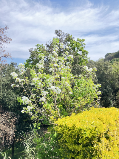 Image No.43-4 Bed Villa / Detached for sale