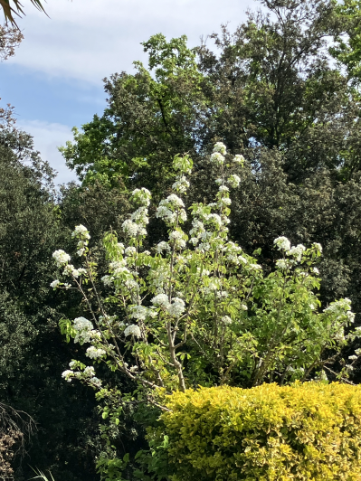 Image No.45-4 Bed Villa / Detached for sale