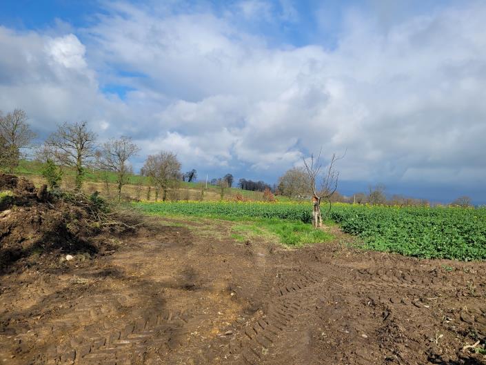 Image No.13-2 Bed Country Property for sale