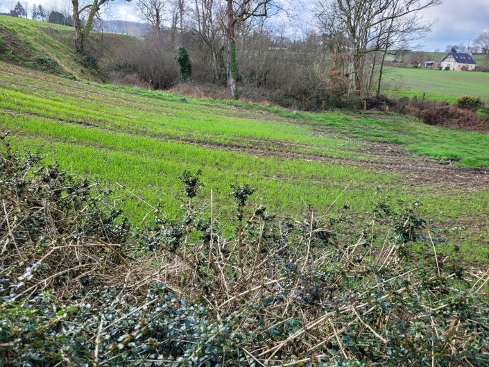 Image No.14-2 Bed Country Property for sale