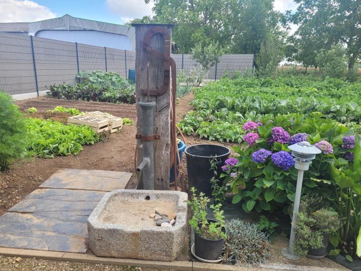 Image No.7-7 Bed Country House for sale