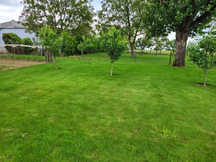 Image No.4-7 Bed Country House for sale