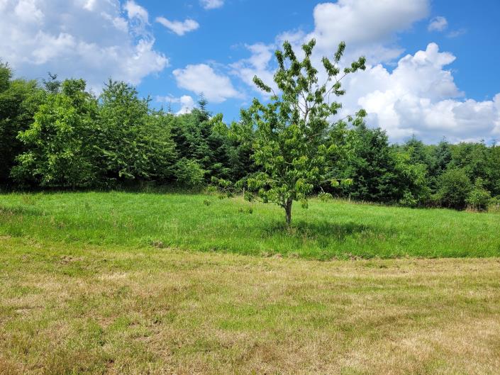 Image No.4-2 Bed Cottage for sale