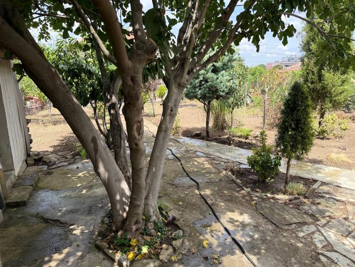 Image No.38-2 Bed House for sale