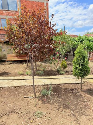 Image No.49-2 Bed House for sale