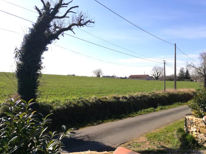 Image No.31-5 Bed Country House for sale