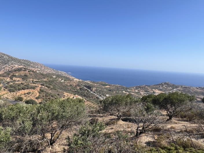 Image No.5-Plot for sale