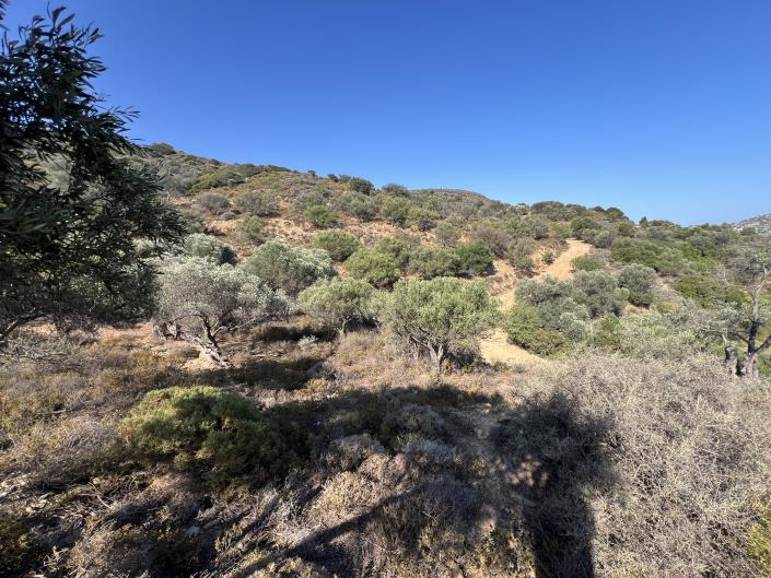 Image No.6-Plot for sale