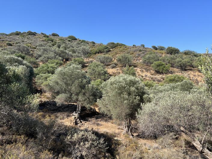 Image No.7-Plot for sale