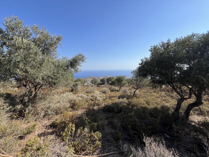 Image No.10-Plot for sale