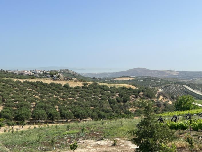 Image No.24-4 Bed House for sale