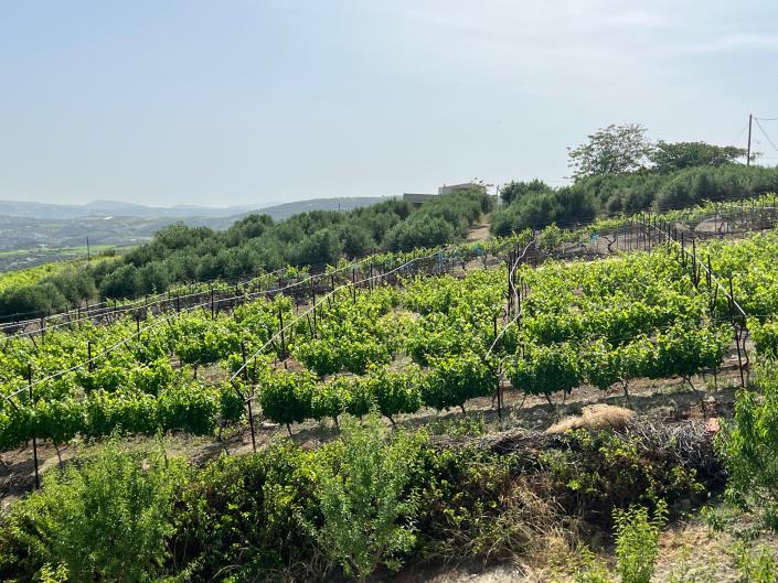 Image No.25-4 Bed House for sale