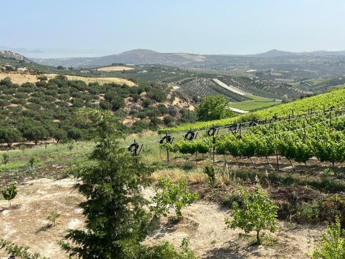 Image No.26-4 Bed House for sale