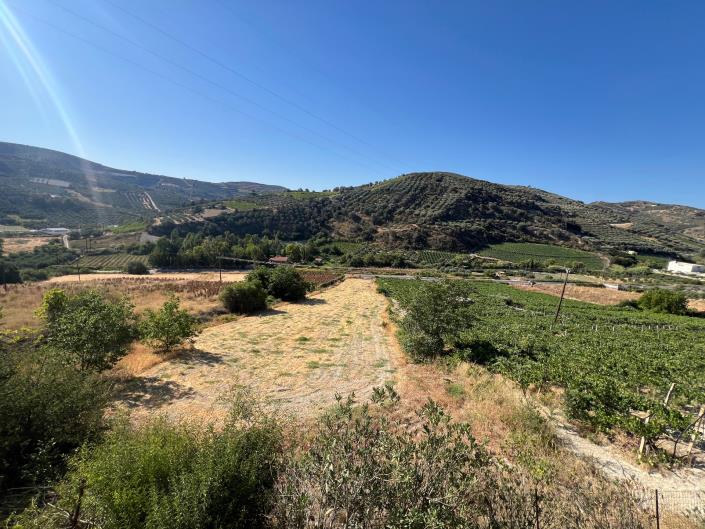 Image No.11-6 Bed Duplex for sale