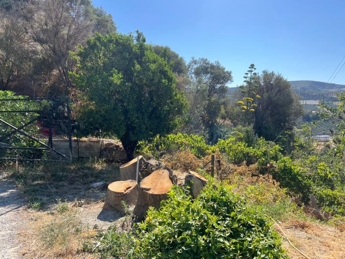 Image No.18-6 Bed Duplex for sale