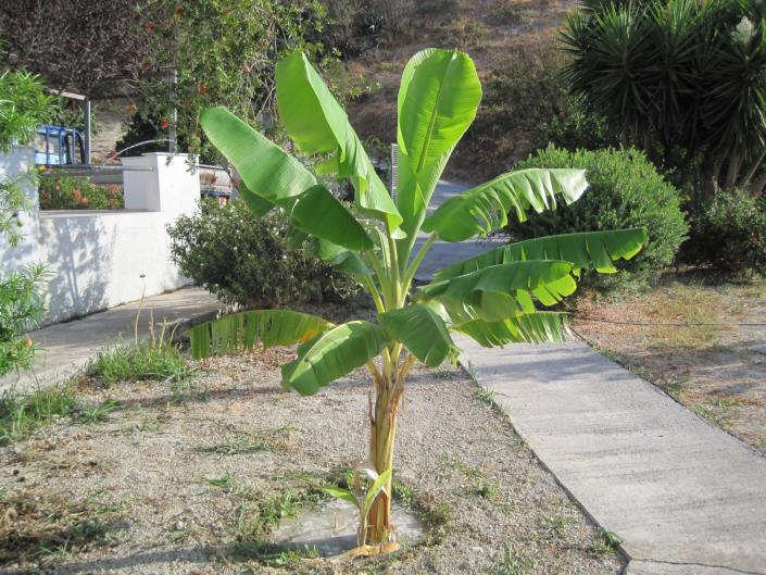 Image No.30-6 Bed Duplex for sale