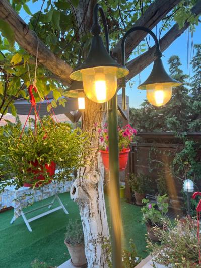 Image No.6-2 Bed House for sale