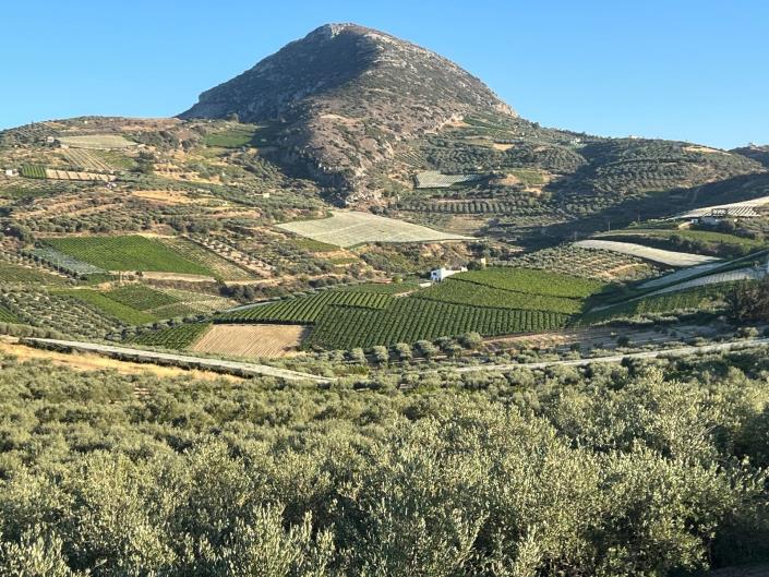 Image No.24-2 Bed House for sale