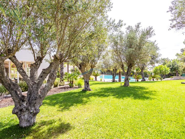 Image No.36-2 Bed House for sale