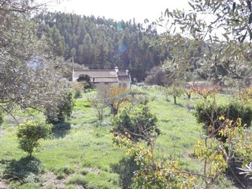 id40538501-0000-0500-0000-000014179565