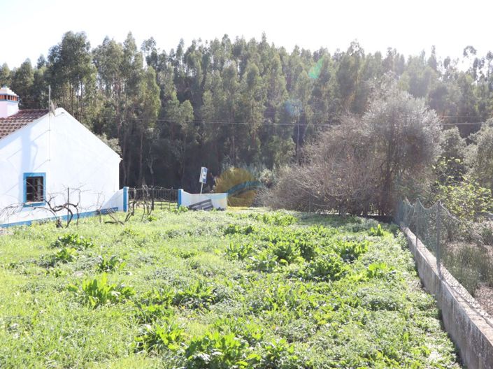 Image No.9-3 Bed Farmhouse for sale