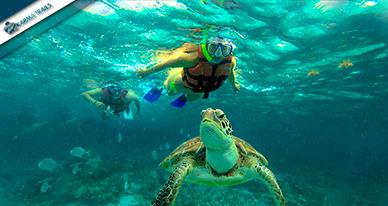 Image No.6-Land for sale