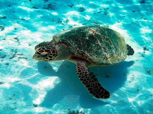 Image No.12-Land for sale