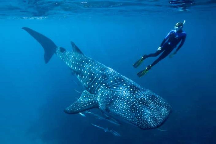 Image No.13-Land for sale