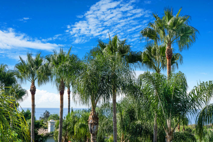 Image No.23-5 Bed Villa for sale