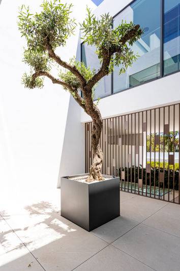 Image No.27-Villa de 3 chambres à vendre à Marbella