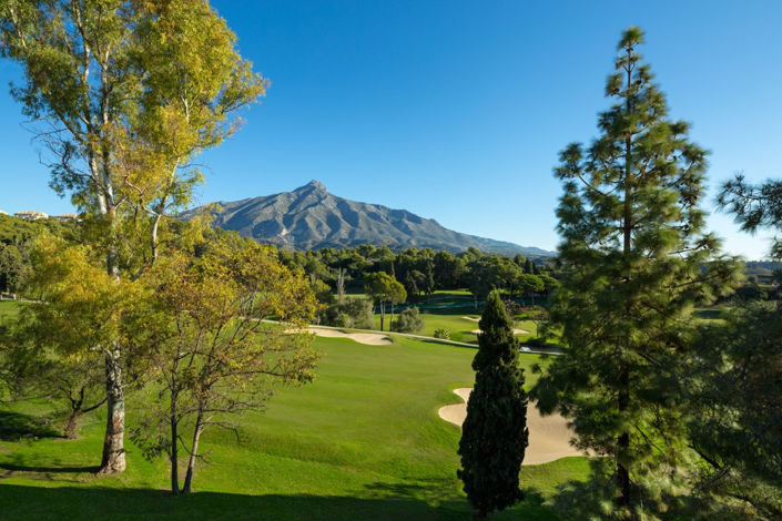 Image No.25-5 Bed Villa for sale