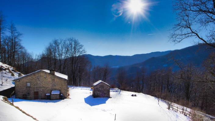 Image No.10-5 Bed Country House for sale