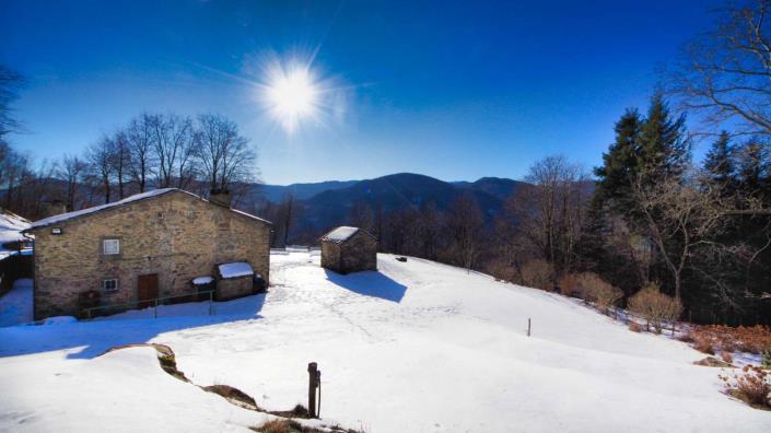 Image No.11-5 Bed Country House for sale