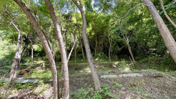 Image No.45-4 Bed Country Property for sale