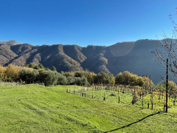 Image No.2-2 Bed Townhouse for sale