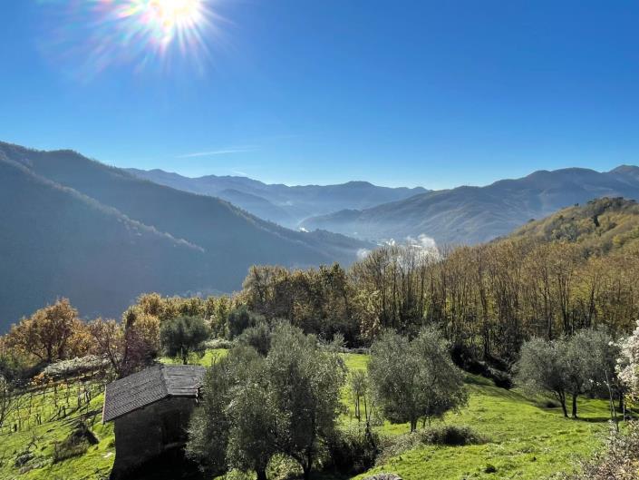 Image No.51-2 Bed Townhouse for sale