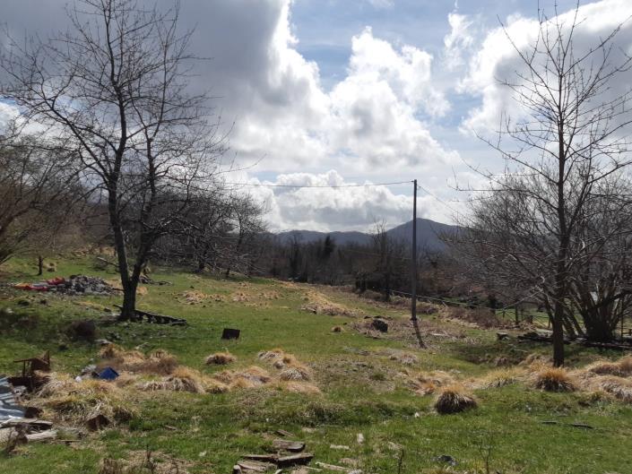 Image No.2-4 Bed Village House for sale