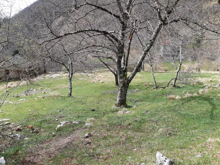 Image No.55-4 Bed Village House for sale