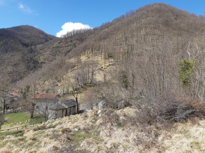 Image No.57-4 Bed Village House for sale