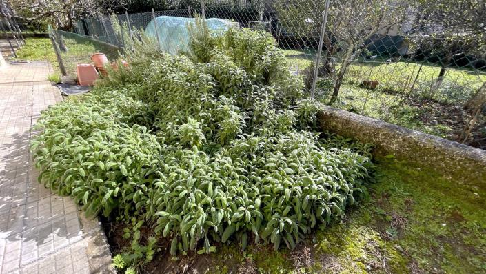 Image No.46-2 Bed Apartment for sale